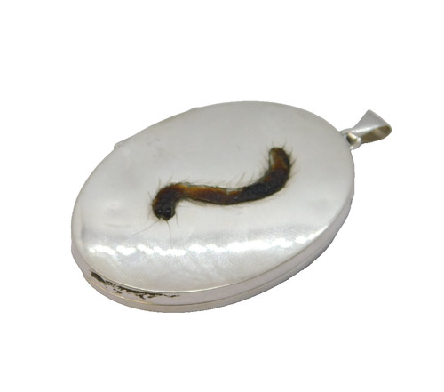 Sterling silver large - sterling,